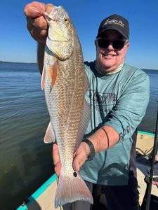 A fisherman holding a large redfish in Florida