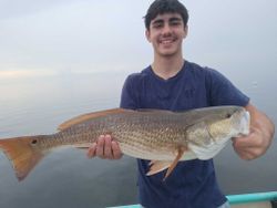 Redfish caught in FL on fishing tour