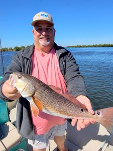 Redfish caught in FL