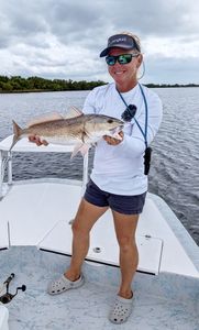 Redfish caught in Citrus County, Florida during a fishing tour