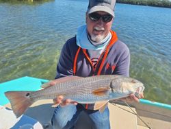 Redfish caught in Citrus County, Florida