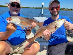 Two redfish caught in Citrus County
