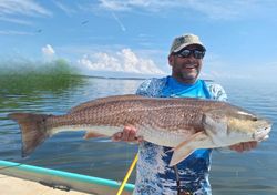 Redfish, 39-inch fish caught while fishing in FL