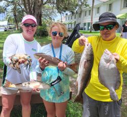 4 redfish caught in FL on fishing tours
