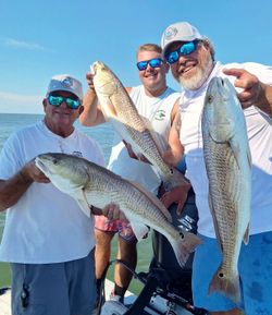 3 redfish caught during a fishing tour in Citrus County