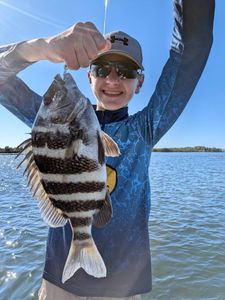 Sheepshead fish caught during fishing tour in FL