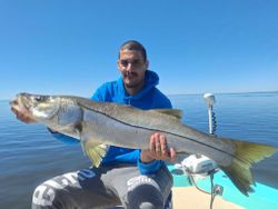 A single snook caught while fishing in FL