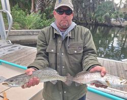 Two spotted weakfish caught while fishing in Citrus County