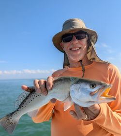 Spotted weakfish caught while fishing in FL