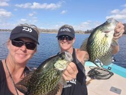Two crappie fish, 12 inches long, in Citrus County