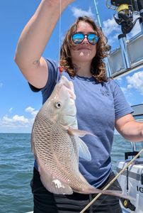 White grunt fish caught while fishing and touring in FL