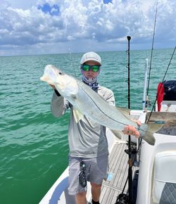 Reel in adventure in Everglades City’s waters.