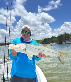 Cast away in Everglades City’s wild beauty.