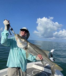 Discover fishing thrills in Everglades City.