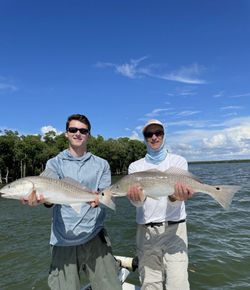 Unwind with Everglades City fishing adventures.