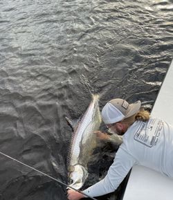 Discover Everglades City’s fishing treasures.