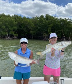 Adventure and fishing in Everglades City await.