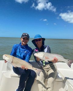 Redfish delight in Everglades!