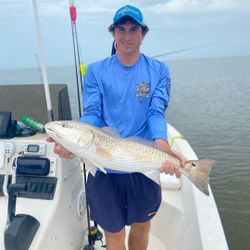 Everglades City fishing charters