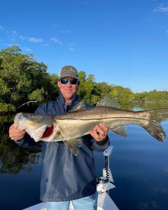 Backcountry fishing in Everglades City