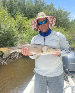 Everglades fishing trips