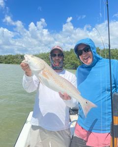 Inshore Bliss: Florida Waters!