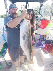 Catching Striped Bass in NY.