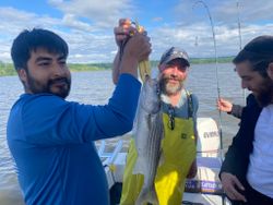 Hudson Valley Striper Fishing.