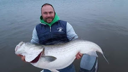 A single person fishing in Connelly