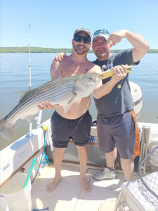 Striped bass caught in Connelly