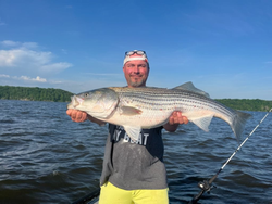 Striped bass catch in NY