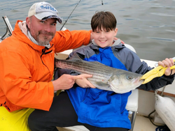 Striped bass caught on fishing cruises in NY