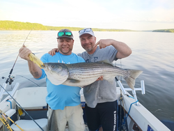 Striped bass caught during fishing cruises in NY