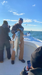 Striped bass caught in NJ while fishing