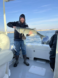Striped bass caught while fishing in NJ