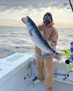 Striped bass caught fishing in NJ