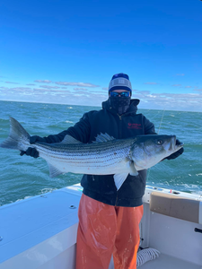 Striped bass caught in Lacey Township