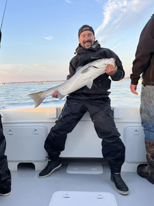 Striped Bass caught by one person in Lacey Township