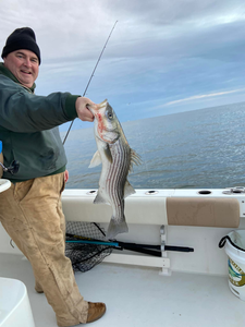 Striped bass caught in Lacey Township