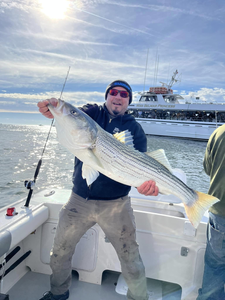 Striped bass caught in Lacey Township