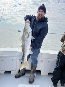 Striped bass caught in Lacey Township