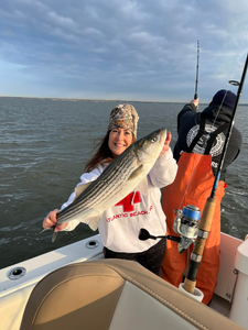 Striped bass caught by two people in New Jersey
