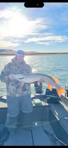 Northern Pike caught while fishing in Harrold SD displayed on boat