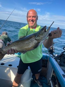 Impressive Lake Ontario Brown Trout catch