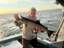 Impressive Lake Ontario King Salmon catch