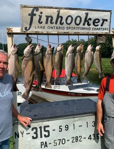 8 rainbow trout and sea trout in a fishing scene in NY