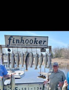 11 lake trout, rainbow trout, and sea trout in New York