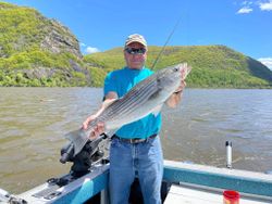 A fisherman with a striped bass in Mexico
