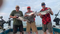 Three people fishing with big fish in Mexico