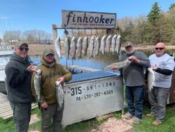 5 rainbow trout caught in Mexico